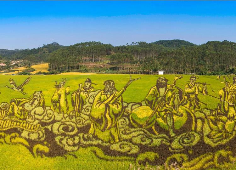 稻田风景画